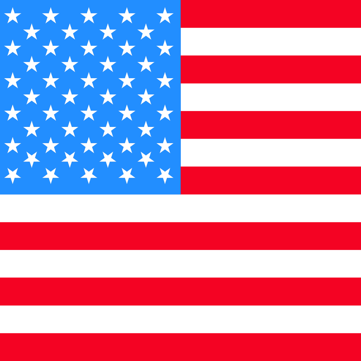 American Flag Filter