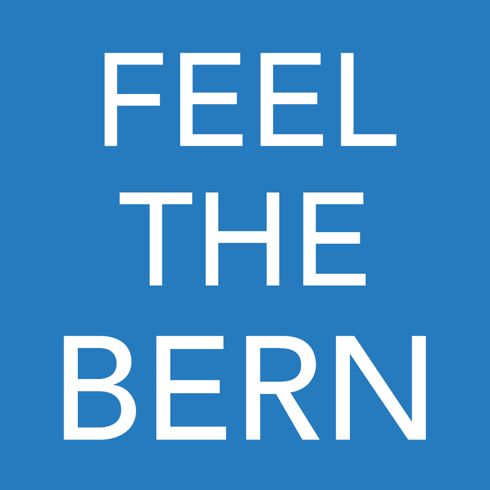 Bernie Sanders Feel The Bern Filter