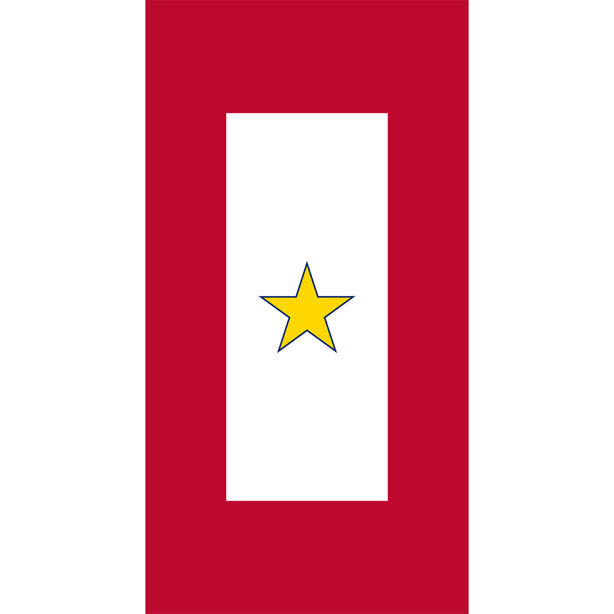 Gold Star Service Banner Filter