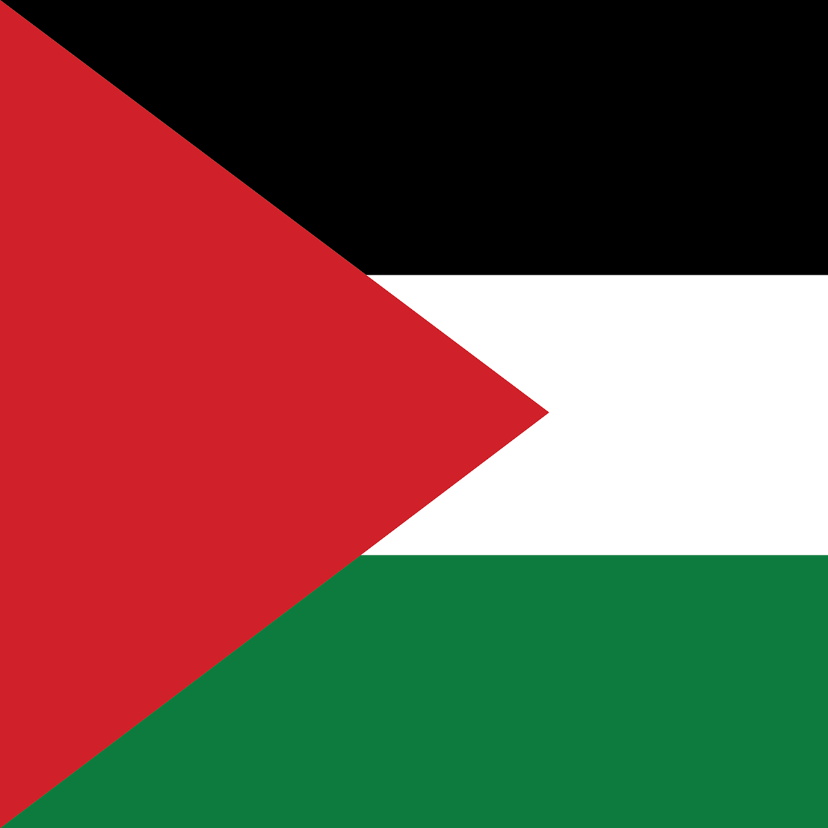 Palestine Filter