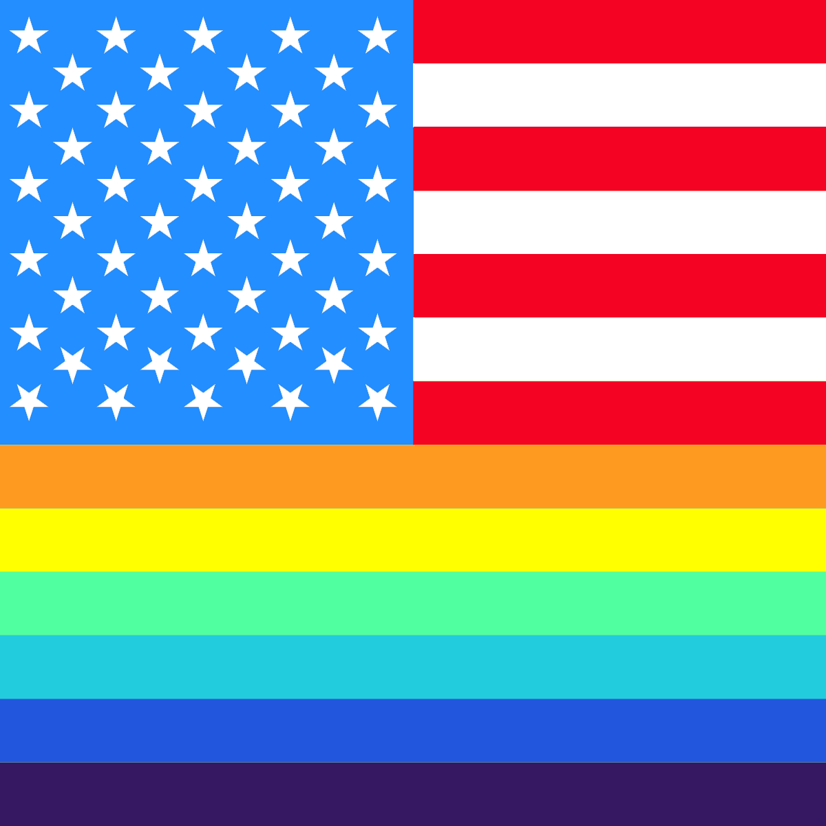Rainbow American Flag Split Filter