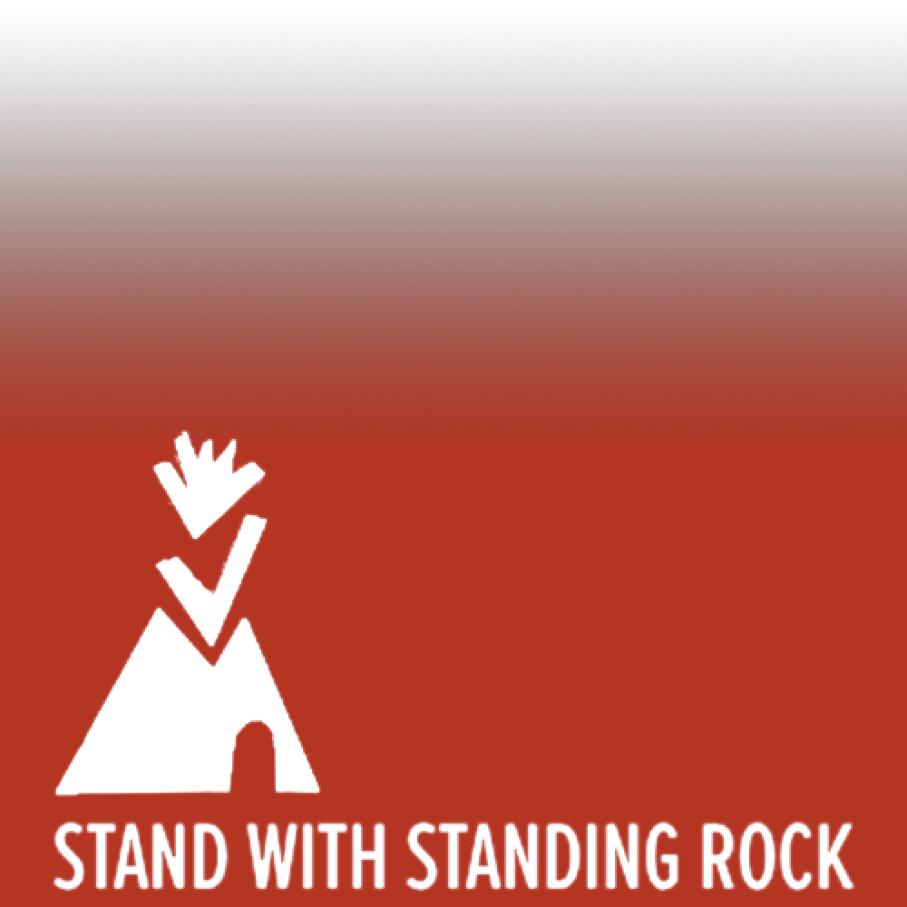 Stand With Standing Rock Filter