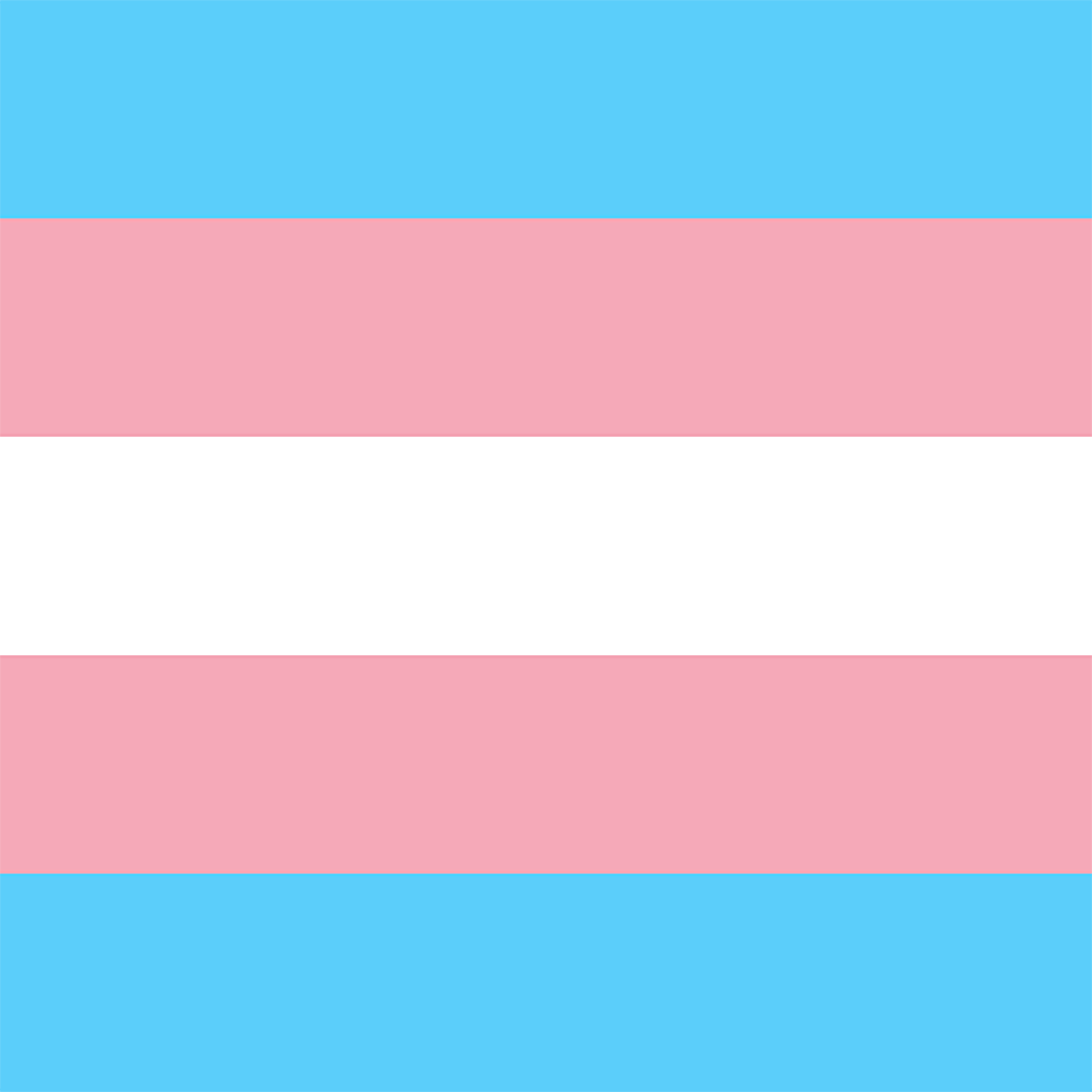 Transgender Pride Filter